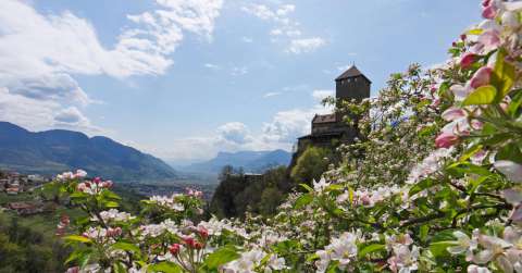Frühlingserwachen um Schloss Tirol